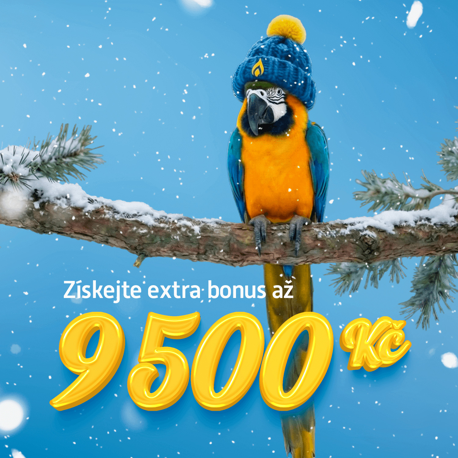 Papoušek v kulichu sedí na větvi