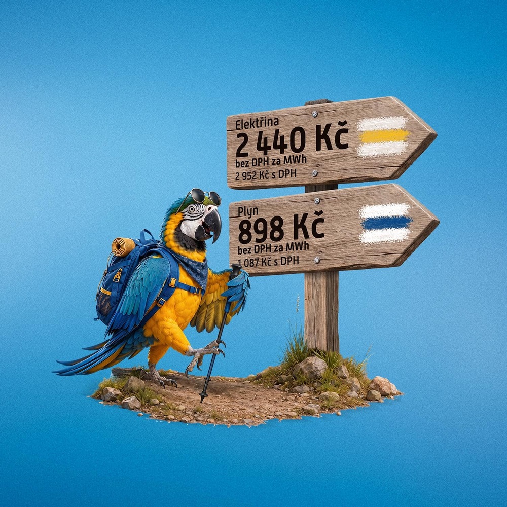 Papoušek turista s výhodnými cenami plynu a elektřiny