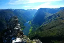 dfgdfg